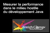Mesurer la performance dans le milieu hostile du développement Java