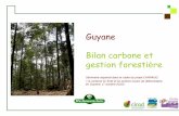 Bilan carbone et gestion forestière