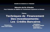les techniques de financements des investissements les crédits d'investissements