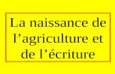 Agriculture Ecriture 2008