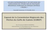 Corep atelier propacExposé de la Commission Régionale des Pêches du Golfe de Guinée (COREP)