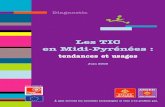 Les TIC en Midi-Pyrénées : tendances et usages (2005)