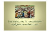 Enjeux revitalisation intégrée en ruralité