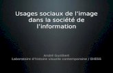 Usages sociaux de l'image dans la société de l'information