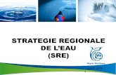 Région martinique   stratégie régionale de l'eau