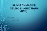 La Programmation neuro linguistique