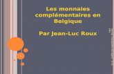 Hub   monnaies complementaires