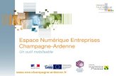 Présentation générale de l'Espace Numérique Entreprises Champagne-Ardenne