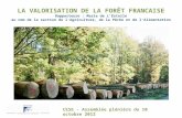 La valorisation de la forêt francaise