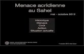 Menace acridien au Sahel 2012 (4 oct 2012 mise à jour)