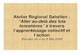 D Sanogo: Sauver les réserves sylvo-pastorales inter villageoises dans le bassin arachidier au Sénégal : quelle stratégie durable ?