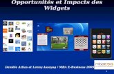 Opportunit©s et Impacts des Widgets