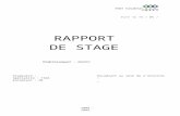 Rapport de stage Anapec