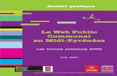Le Web Public Communal en Midi-Pyrénées : les bonnes pratiques 2006 (2007)