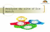 Analyse du site d'e-commerce d’ice watch