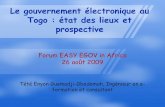 Le gouvernement électronique au Togo : Etat des lieux et prospectives