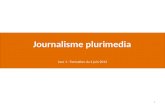 Journalisme plurimedia - Première Partie