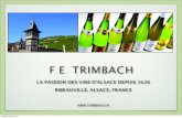 Presentation Next Step - Maison trimbach