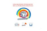 Les grandes tendances de la publicite digitale SRI Syndicat des Régies Internet @ Radio 2.0 Paris 2014