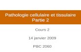 Cours 2 - Pathologie cellulaire (Partie 2)