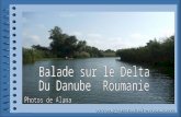 Balade Sur Le Danube