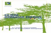 Exemples de chaufferies biomasse - FEDENE/SNCU