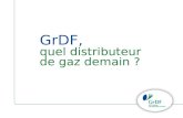 GrDF 2050, quel distributeur de gaz demain
