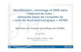 Identification, nommage et DNS dans l’Internet du futur: "Toile de fond technologique" AFNIC