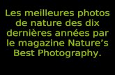 Nature BestPhotography