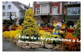 Fiesta del crisantemo_Alemania
