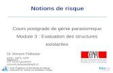 Cours module3 vpe_risk