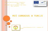 Mis comenius w turcji