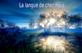 La Langue De Francais