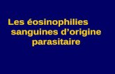 Heosinophilies sanguines dorigines parasitaires