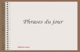 25 phrases du_jour-1