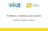 Diapositives concernant le projet Trottibus