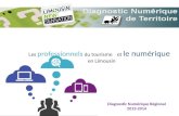 Diagnostic numérique en Limousin