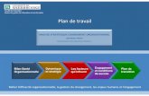 Analyse StratéGique Dun Milieu   Changements Organisationnels (Plan De Travail)