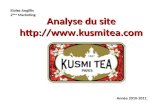 Analyse du site kusmitea