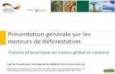 Présentation générale sur les moteurs de déforestation, Cameroun