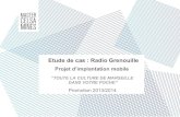 Etude de cas marketing - Implantation mobile de Radio Grenouille