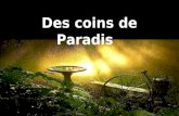 Coins de paradis
