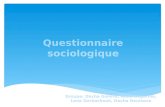 Questionnaire sociologique (1)