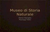 Museo di storia naturale di Pavia