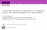 Les réseaux sociaux numériques au musée de  Cluny : de l'expérimentation à la structuration
