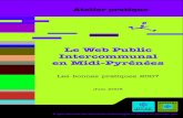 Le Web Public Intercommunal en Midi-Pyrénées : les bonnes pratiques 2007 (2008)
