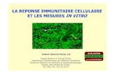 La réponse immunitaire cellulaire et les mesures in vitro
