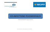 Co-infections plasmodiales
