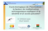 Cycle biologique du Plasmodium: le facteur de multiplication schizogonique explique t-il la sévérité d'un accès paluste?