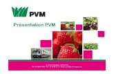 Pvm presentation